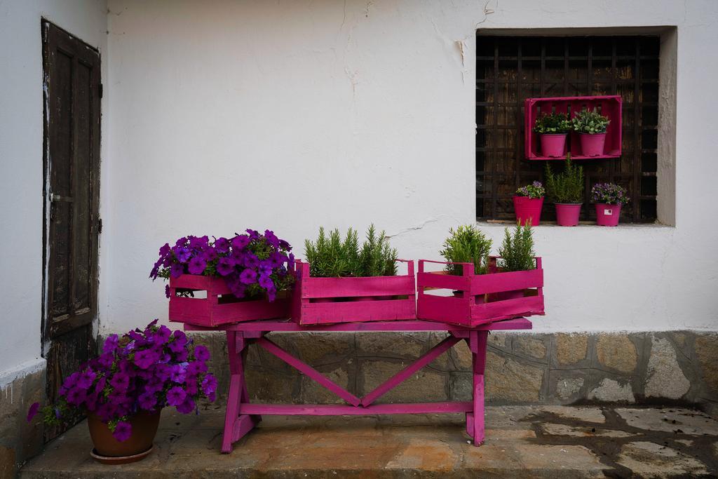 Agriturismo Cascina Del Vai 카이로 몬테노테 외부 사진