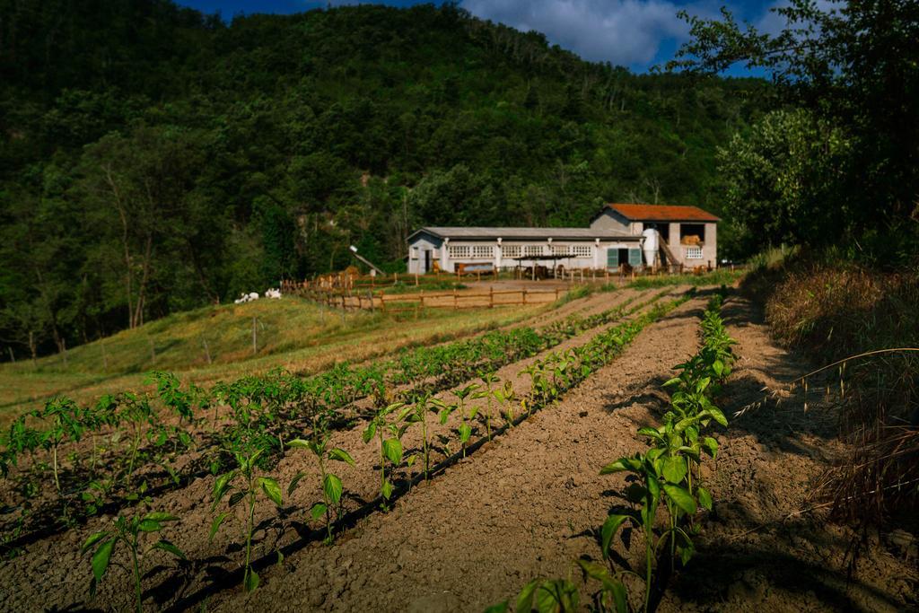 Agriturismo Cascina Del Vai 카이로 몬테노테 외부 사진